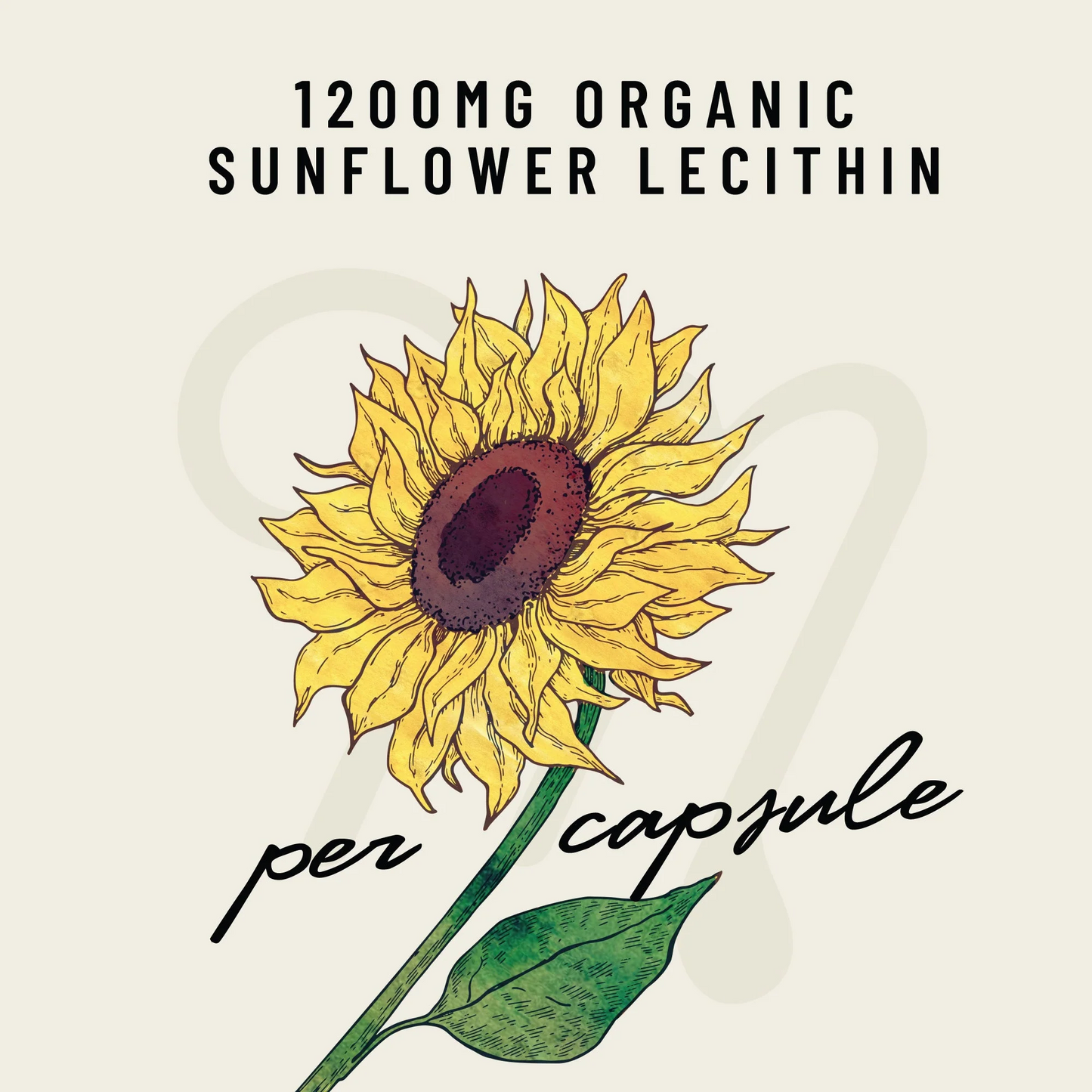 Sunflower Lecithin